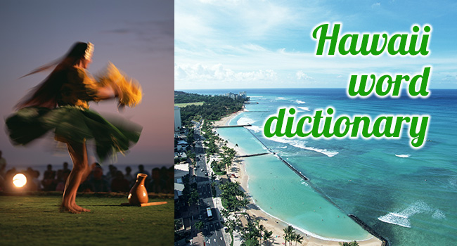 Hawaii Word Dictionary